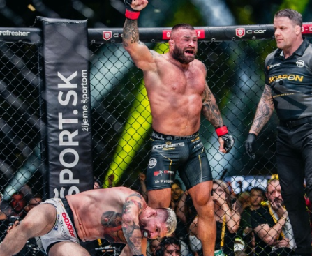 "Stay Ahead of the Game: Best Sources for UFC Streams"