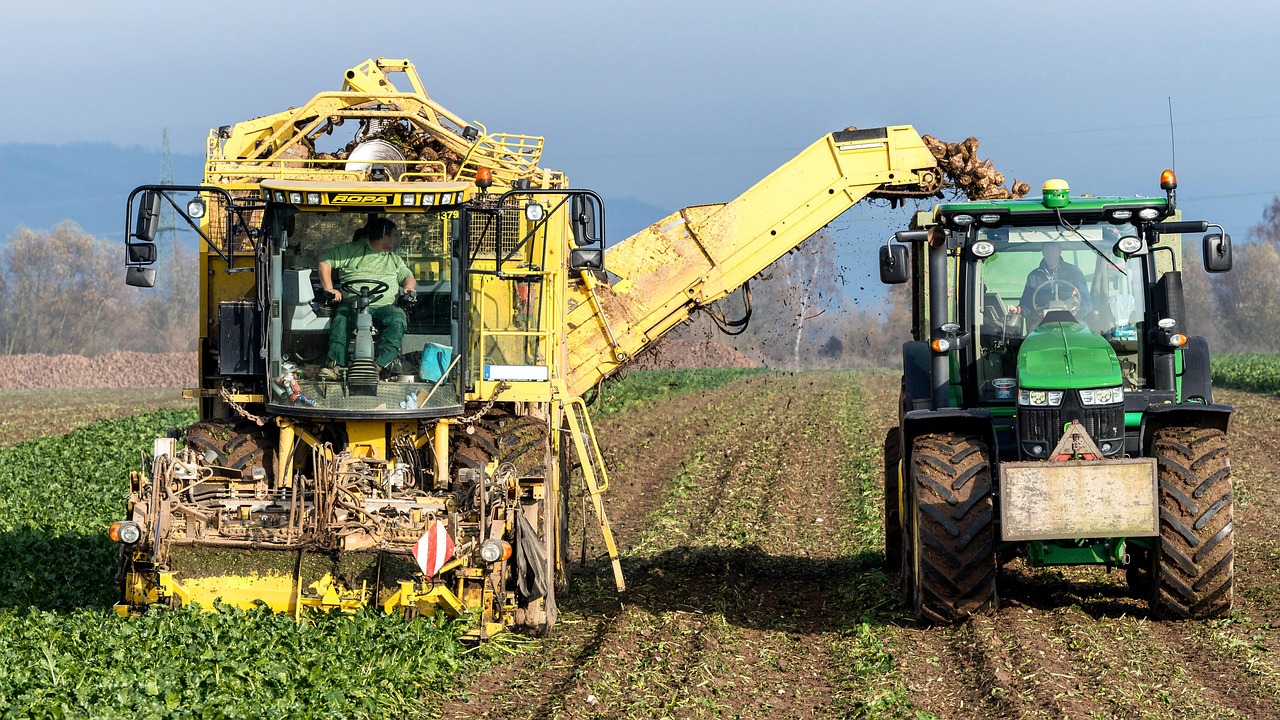 Turnip, vegetables, harvest — AI and the Environment: Leveraging Technology for Sustainability