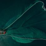 Boat, fishing boat, nature — Best Fishing Slots: Big Bass Bonanza and Beyond